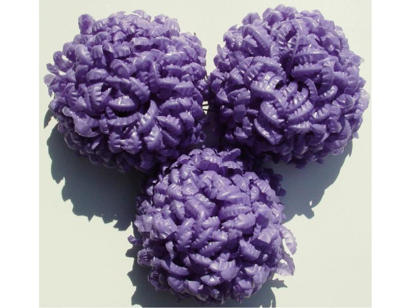 Chryzantéma fialová