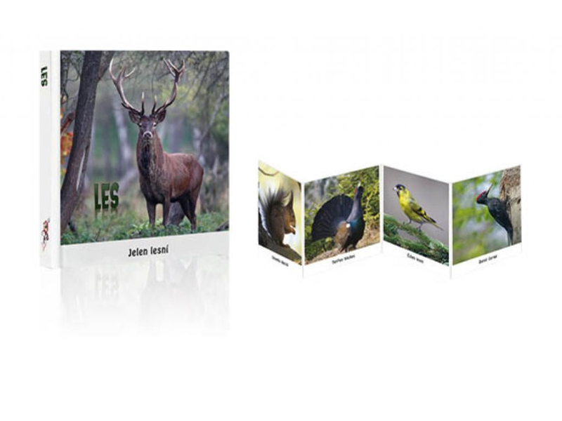 Leporelo V lese Mičánek