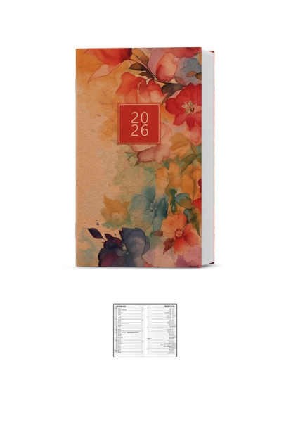 Diář měsíční, Marika Kraft, Baloušek