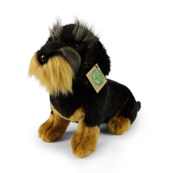 Pes, jezevčík drsnosrstý plyšový