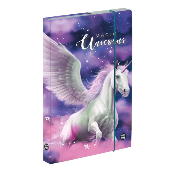 Box A4 školní s gum. Pegas