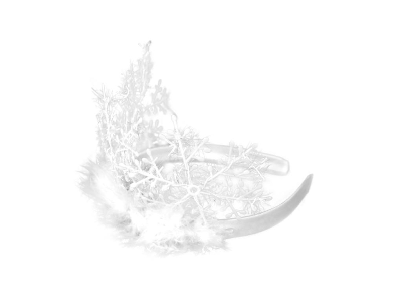 Korunka sněhová vločka