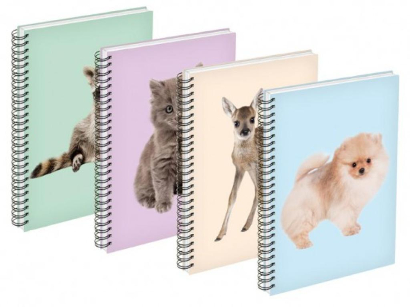 BLOK A6 80ls linka spirála s motivy zvířat     MFP