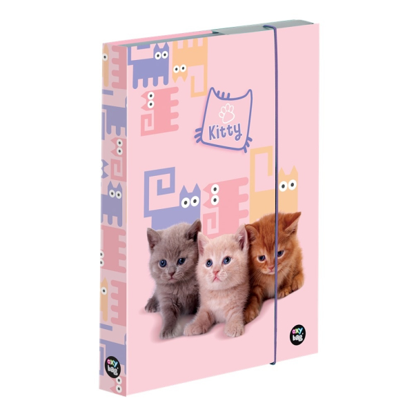 BOX A5 SKOLNI MAZLICCI