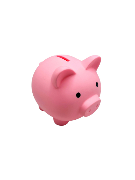 Pokladnička prasátko