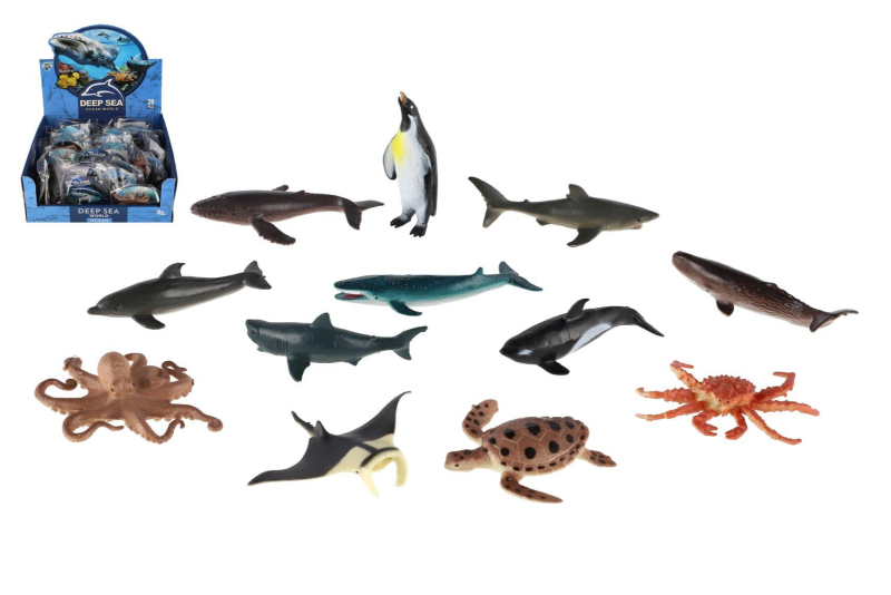 Zvířata mořská, mix druhů