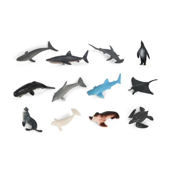 Zvířata mořská, mix druhů