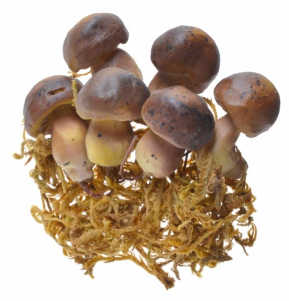 Hřiby na drátku s mechem, 6 kusů