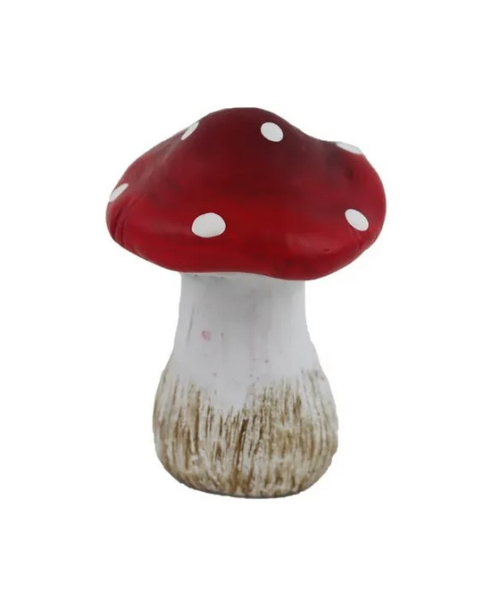 Houba, muchomůrka