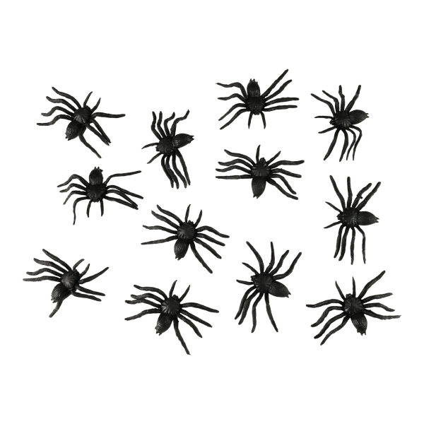 Pavouci 12 kusů