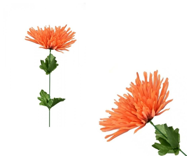Chryzantéma oranžová, látková, jehlicovitá