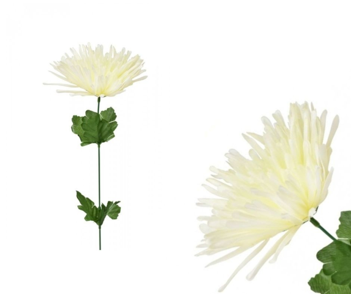 Chryzantéma krémová, látková, jehlicovitá