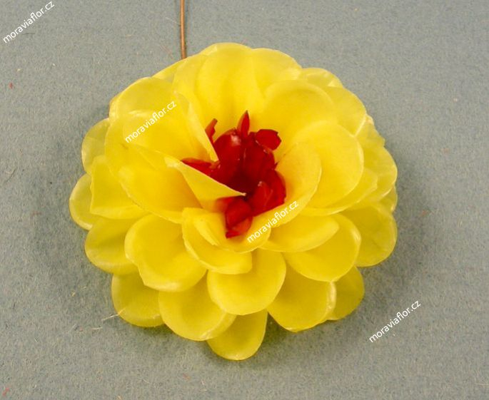 Ponponka, žlutá s červeným středem, 43