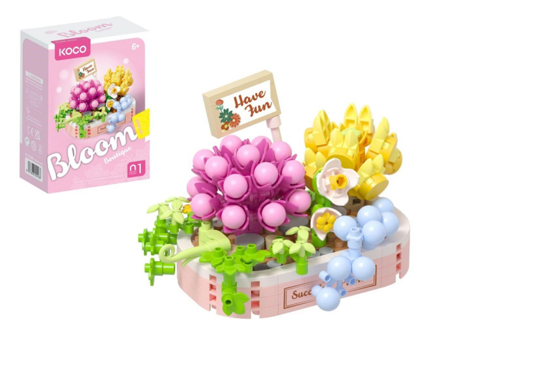 Staebnice mini, Koco, Květinové aranžmá sukulentů