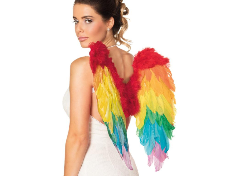 Křídla andělská duhová 50 x 50 cm