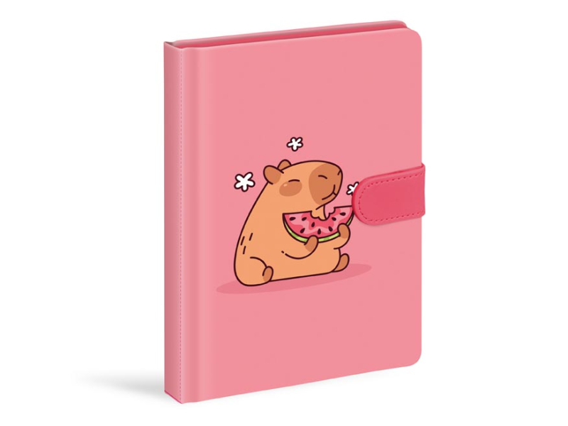 Blok A5 linkovaný s magnetem 120 listů