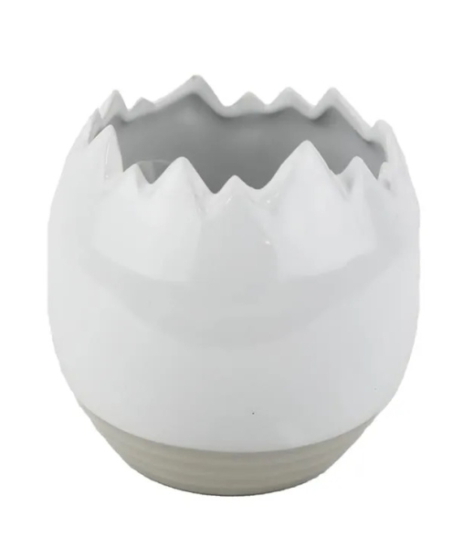 Skořápka porcelánová