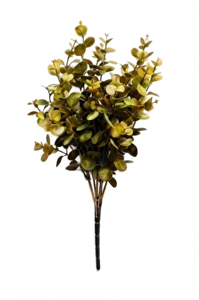 Větvička eukalyptu, olivová, 37cm