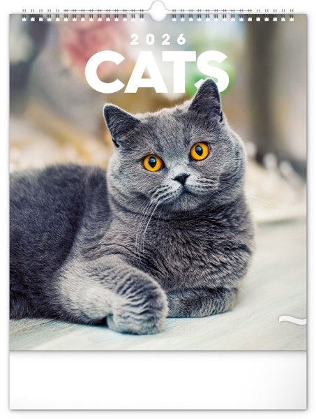 Kalendář nástěnný Kočky