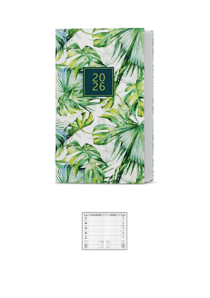 Diář týdenní, Alois Lamino, Baloušek