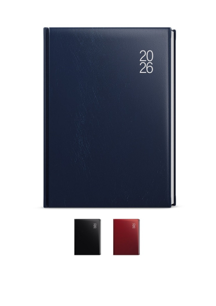 Diář denní, B6, Adam Balacron